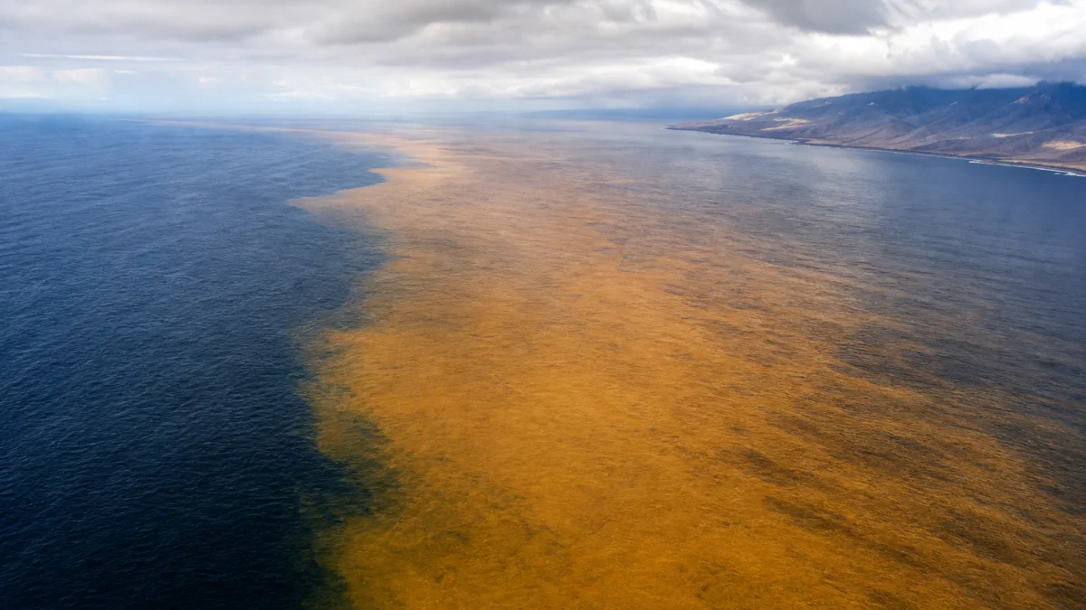 Droht der nächste Klima-Schock? EIKE zweifelt an El-Niño-Warnungen