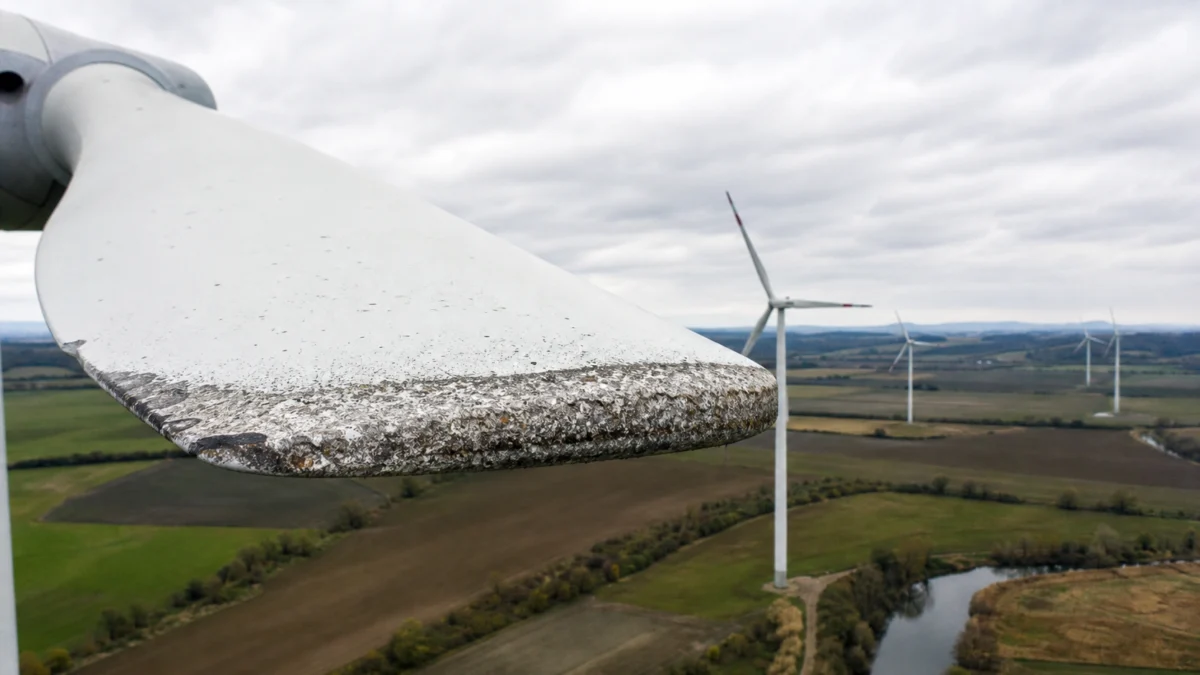 PFAS aus Windrädern: „Das verschwiegene Umweltproblem“